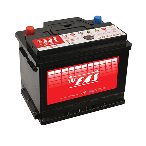 eas 60 ampere battery